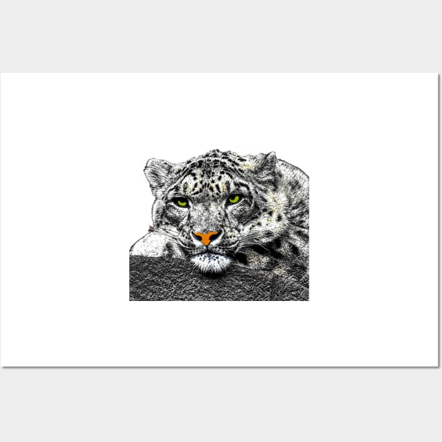 Snow Leopard: I'm looking at you Wall Art by MGphotoart